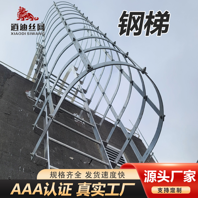 不鏽鋼爬梯
